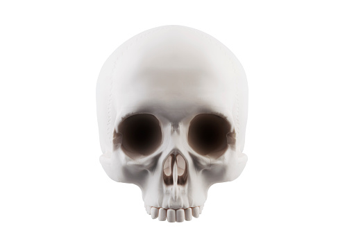 Cartoon set of white skulls for a fun Halloween design. 3D rendering