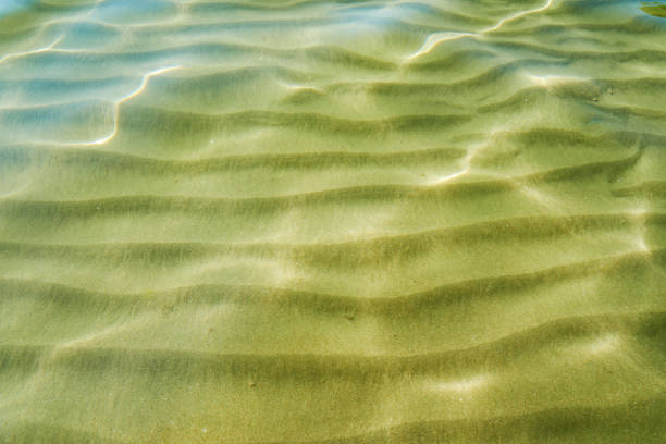 ripples and glare on the sea water and waves on the sand underwater - textured nature hurricane caribbean sea imagens e fotografias de stock