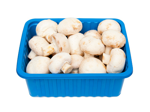 Champignons in blue box isolated on white background