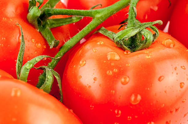 istock macro wet Tomatos  vine food fruit  water drops white background 143107096