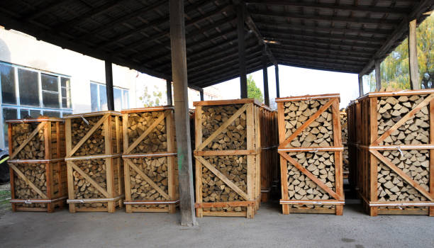 istock Pallet of chopped firewood 1431077604