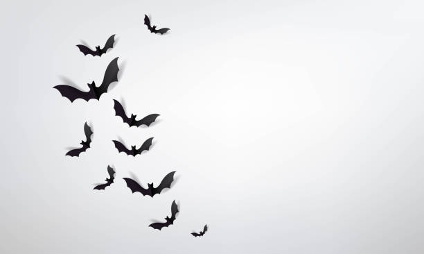 Black Bats Set Isolated Grey Background Black Bats Set Isolated Grey Background With Gradient Mesh, Vector Illustration bats stock illustrations