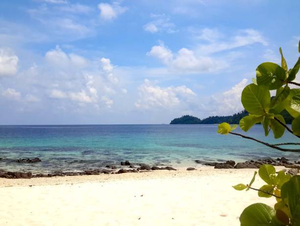istock Beautiful turquoise sea and white beach 1431078979