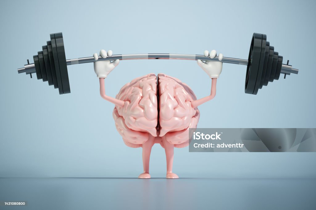 Brain lifting weights. Cognitive development concept Brain lifting weights. Cognitive development concept. Memories Stock Photo