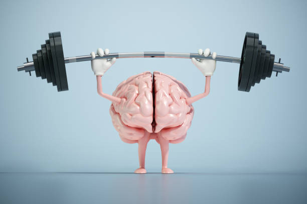 Brain lifting weights. Cognitive development concept stock photo