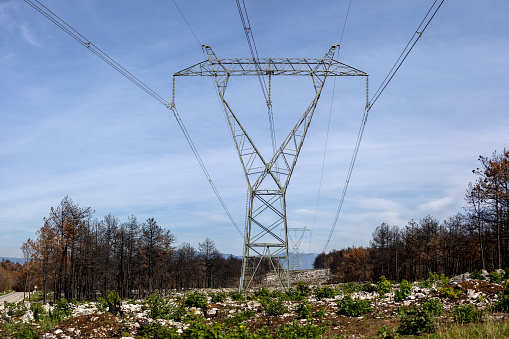 Electricity Main Power Lines Trough a Valley Devastated by a Forest Fire this Summer 2022 - Kras, Slovenia