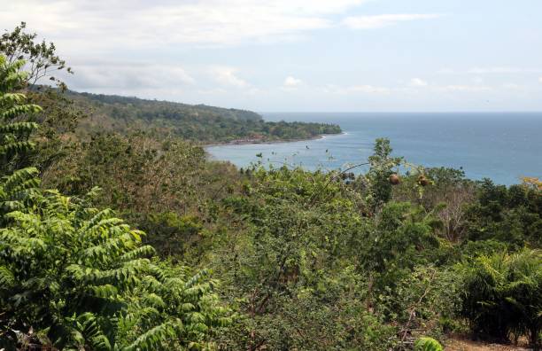 istock view over dry forest to the ocean 1431083332