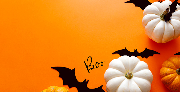 Halloween flat lay composition of black paper bats fand pumpkins on orange background. Halloween concept.