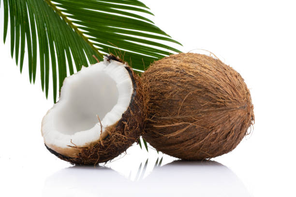 istock Coconut with leaves on white background 1431089854
