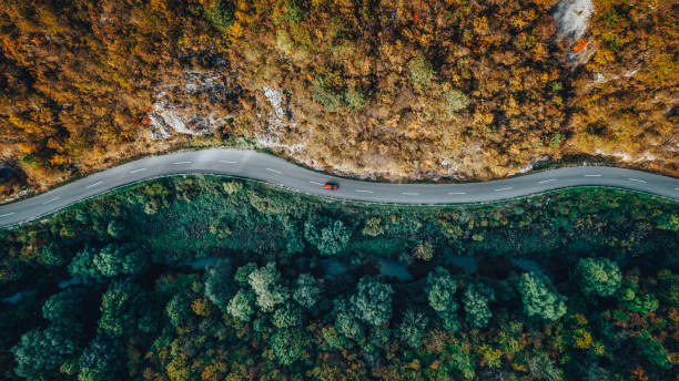 strada attraverso la foresta - autumn road landscape mountain foto e immagini stock