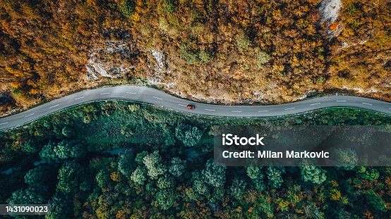 istock Road through the forest 1431090023
