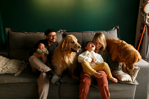 Young Happy Family with newborn baby sitting on the sofa in the living room smelling and playing with their dogs - Golden retriever
