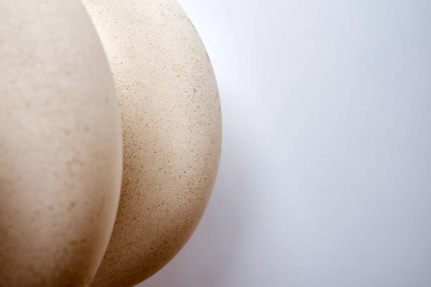 istock Abstract ceramic figure on a light background. Place for text. Background for presentation. Sample 1431103413