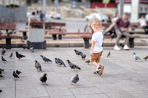 Cute blond toddler boy is playing in public park