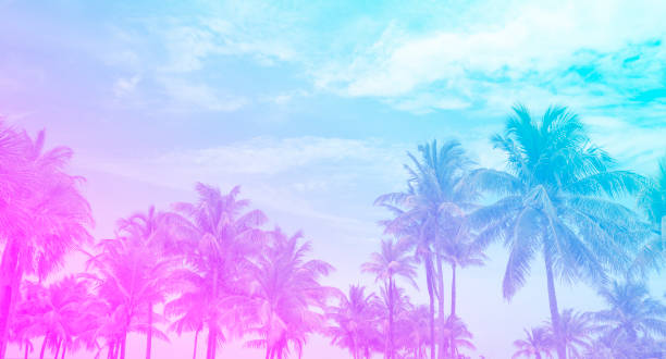 istock Pastel tone tropical palm trees on blue sky. 1431104987