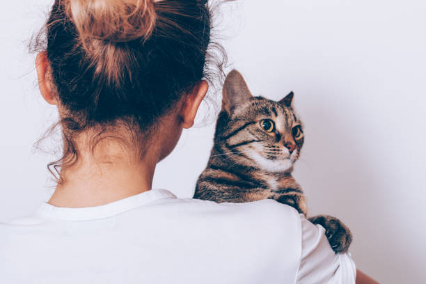 istock Unrecognizable young woman holding her striped cat 1431117174