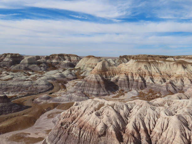 istock Petrified Forest National Park 1431122695