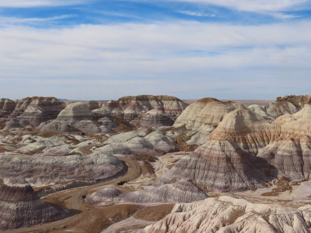istock Petrified Forest National Park 1431122712