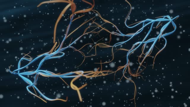 Animation of firing neuron
