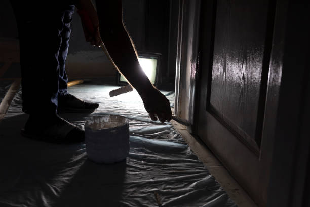 istock Painting Door 1431136454