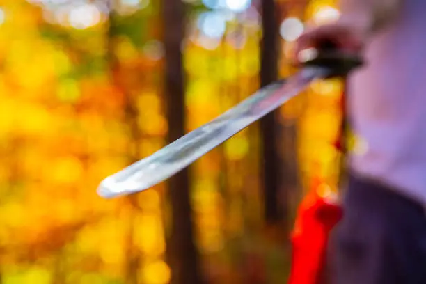 Photo of Chinese sword in colorful autumn forest
