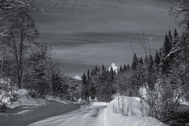 istock Winter landscape in the Alps, Austria, Seefeld. 1431148632