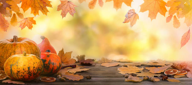 istock Autumn or Halloween background with pumpkins and leaves. 1431150236