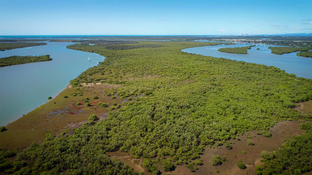 istock Jacob's Well on the Gold Coast 1431166072