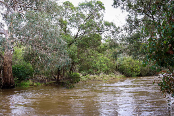 istock werribee river with fast flowering high water levels after heavy rainfall 1431169514