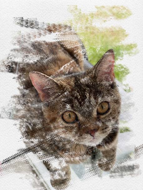 istock drawing paint color baby cat 1431180061