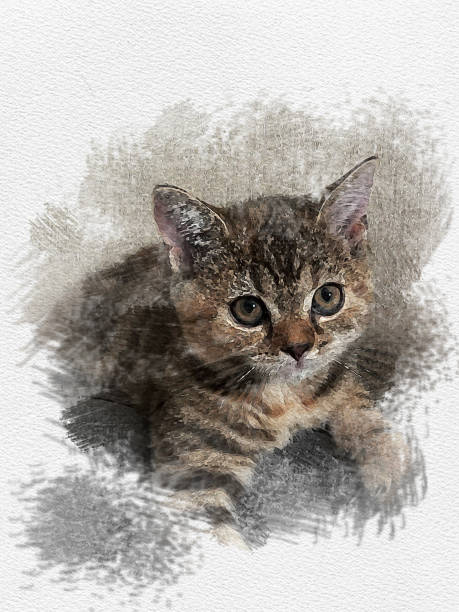 istock drawing paint color baby cat 1431180062