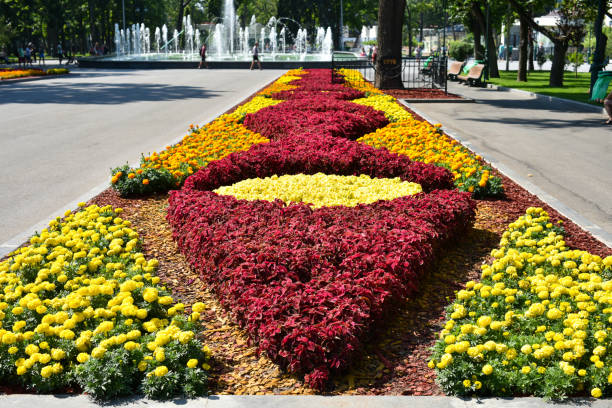 istock Shevchenko Summer Garden, Kharkiv, Ukraine 1431181153