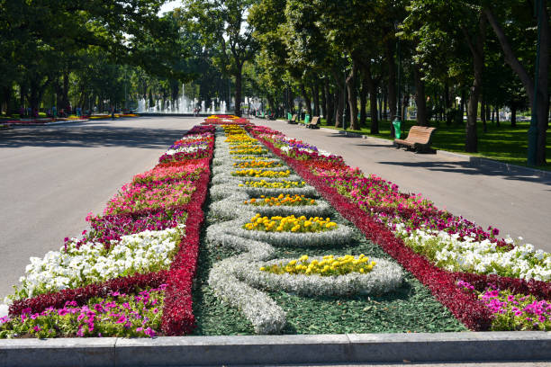 istock Shevchenko Summer Garden, Kharkiv, Ukraine 1431181162