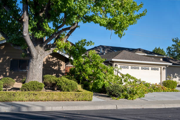 pericoloso ramo di albero caduto nel quartiere residenziale.  le cause possono includere una tempesta, un ambiente caldo e secco o perché il ramo si estende oltre il tronco può sostenere - tree removing house damaged foto e immagini stock