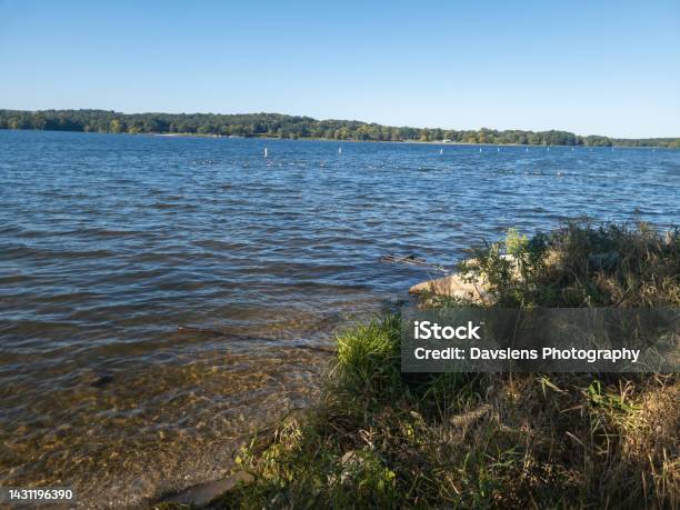Water In Kent Lake Stock Photo - Download Image Now - Bird, Blue, Branch - Plant Part
