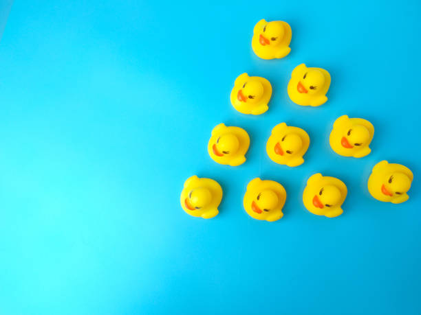 istock Group of toy ducks. Leadder and teamwork concept 1431202374