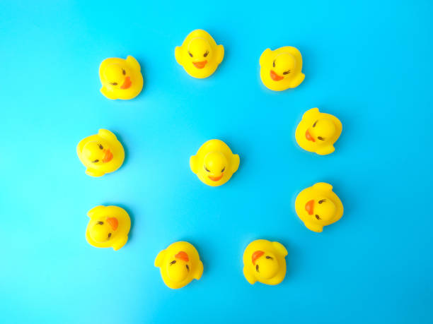 istock Group of toy ducks. Leadder and teamwork concept 1431202765