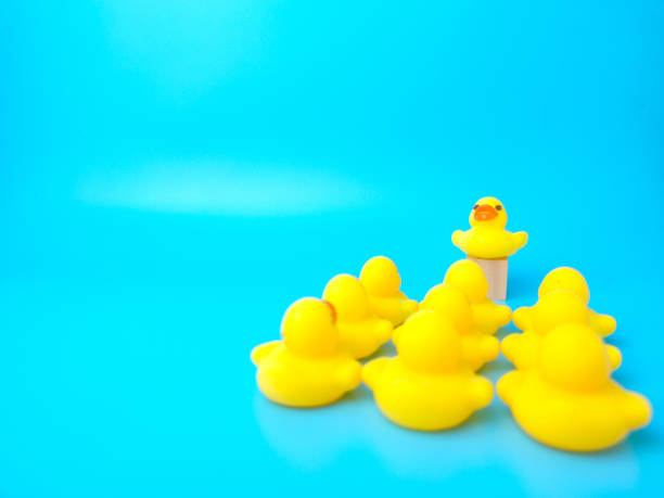 istock Group of toy ducks. Leadder and teamwork concept 1431203138