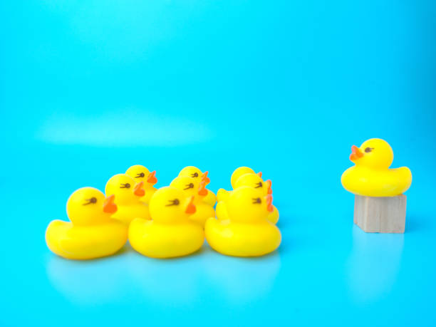istock Group of toy ducks. Leadder and teamwork concept 1431203315