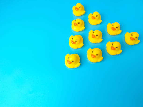 istock Group of toy ducks. Leadder and teamwork concept 1431203442