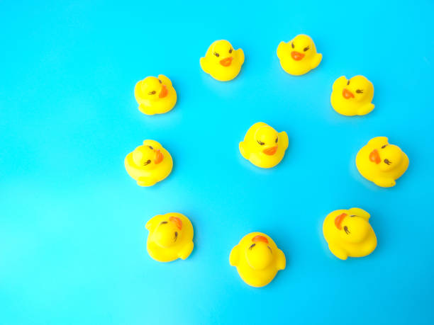 istock Group of toy ducks. Leadder and teamwork concept 1431203523