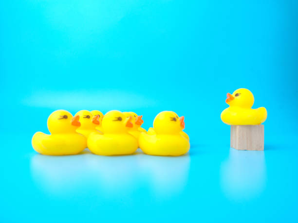 istock Group of toy ducks. Leadder and teamwork concept 1431203602