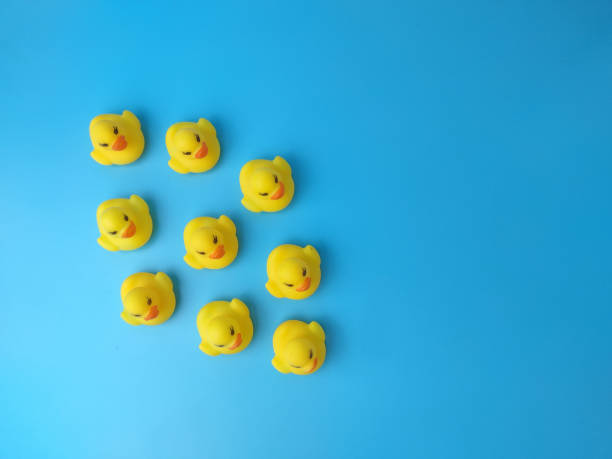 istock Group of toy ducks. Leadder and teamwork concept 1431203648