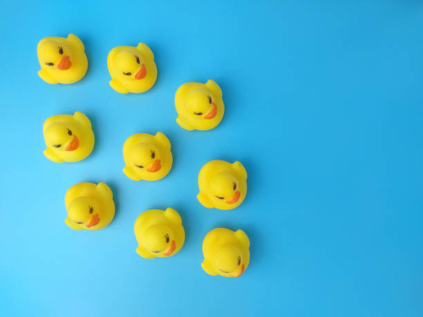 istock Group of toy ducks. Leadder and teamwork concept 1431203701