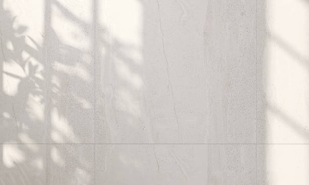 istock Beautiful soft dappled light and plant leaf shadow on minimal white granite wall background 1431217550