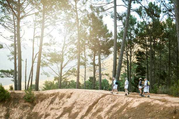 Free Stock Photo of Group of People Walking Through a Forest | Download ...