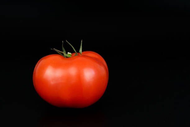 istock One red tomato on black background. Tomato on a black background, still life vegetables. 1431223796
