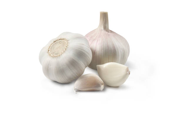 deux têtes d’ail avec des gousses d’ail placées sur un blanc - garlic clove isolated white photos et images de collection