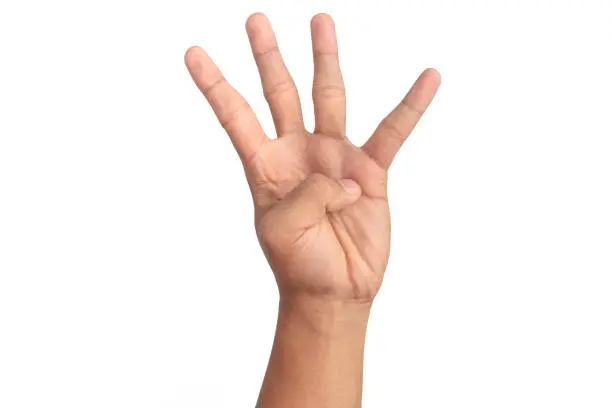 Photo of man hand number four on white background