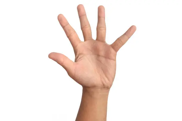 Photo of man hand number five on white background